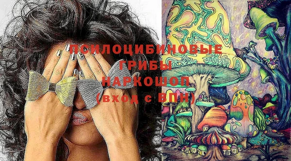мдпв Армянск