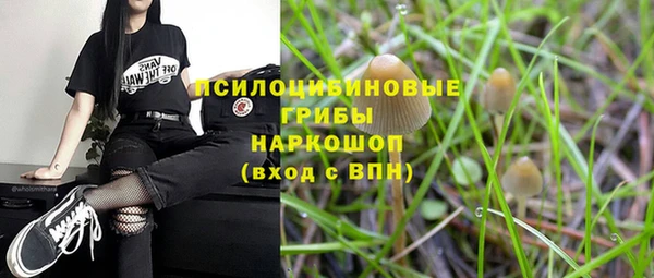 метадон Арсеньев