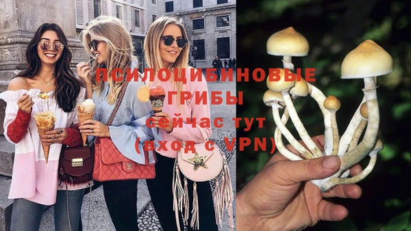 метадон Арсеньев